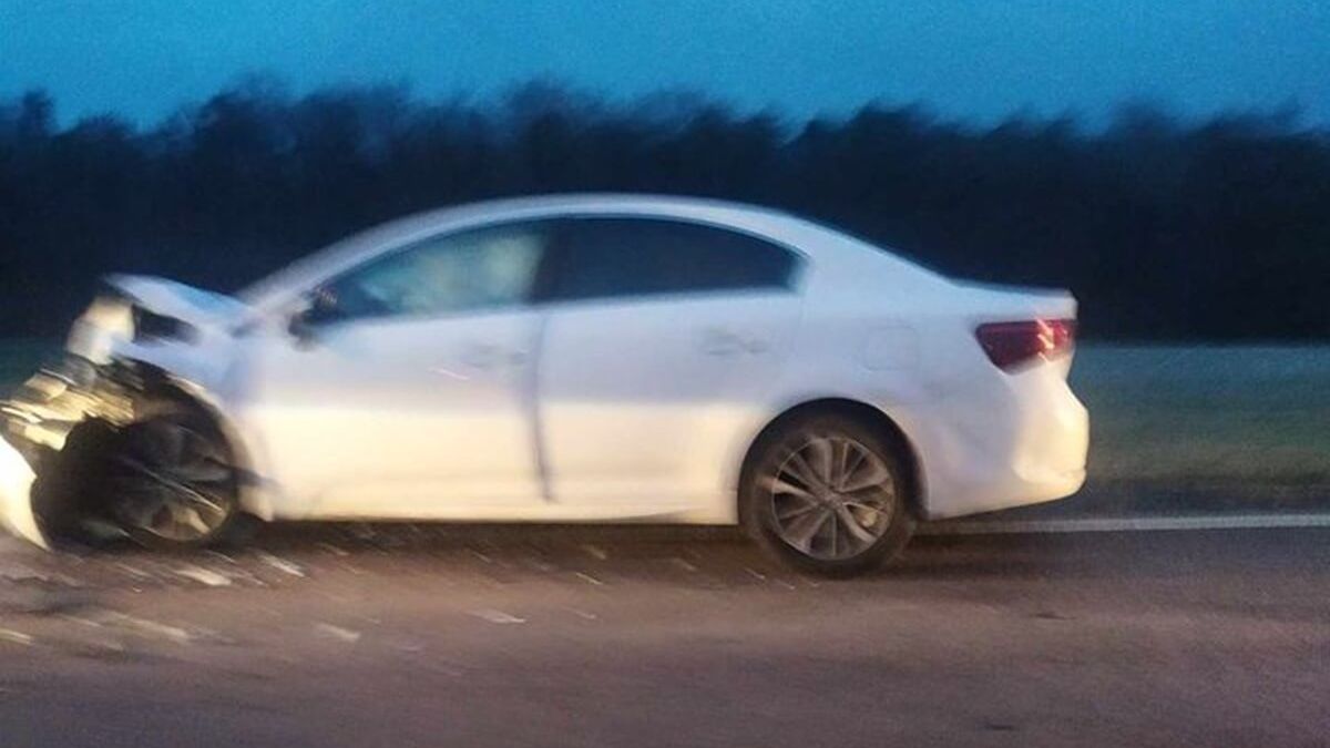 Kolizja trzech aut na al. Jana Pawła II przez sarnę