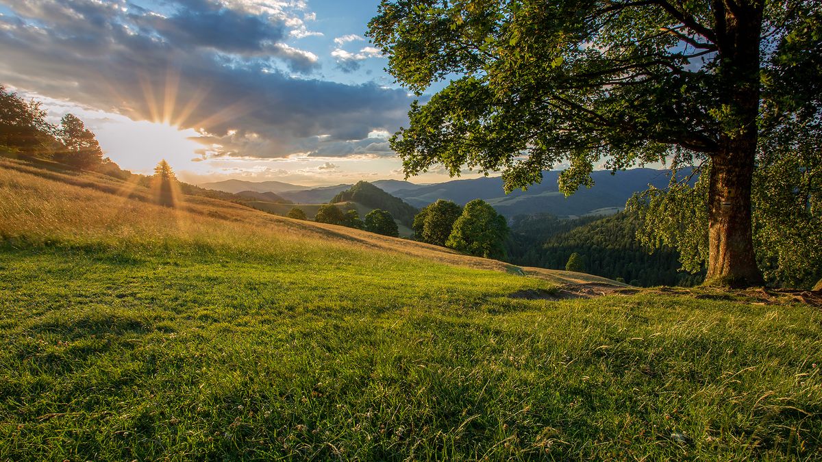 10 najpiękniejszych miejsc do fotografowania w Pieninach 1