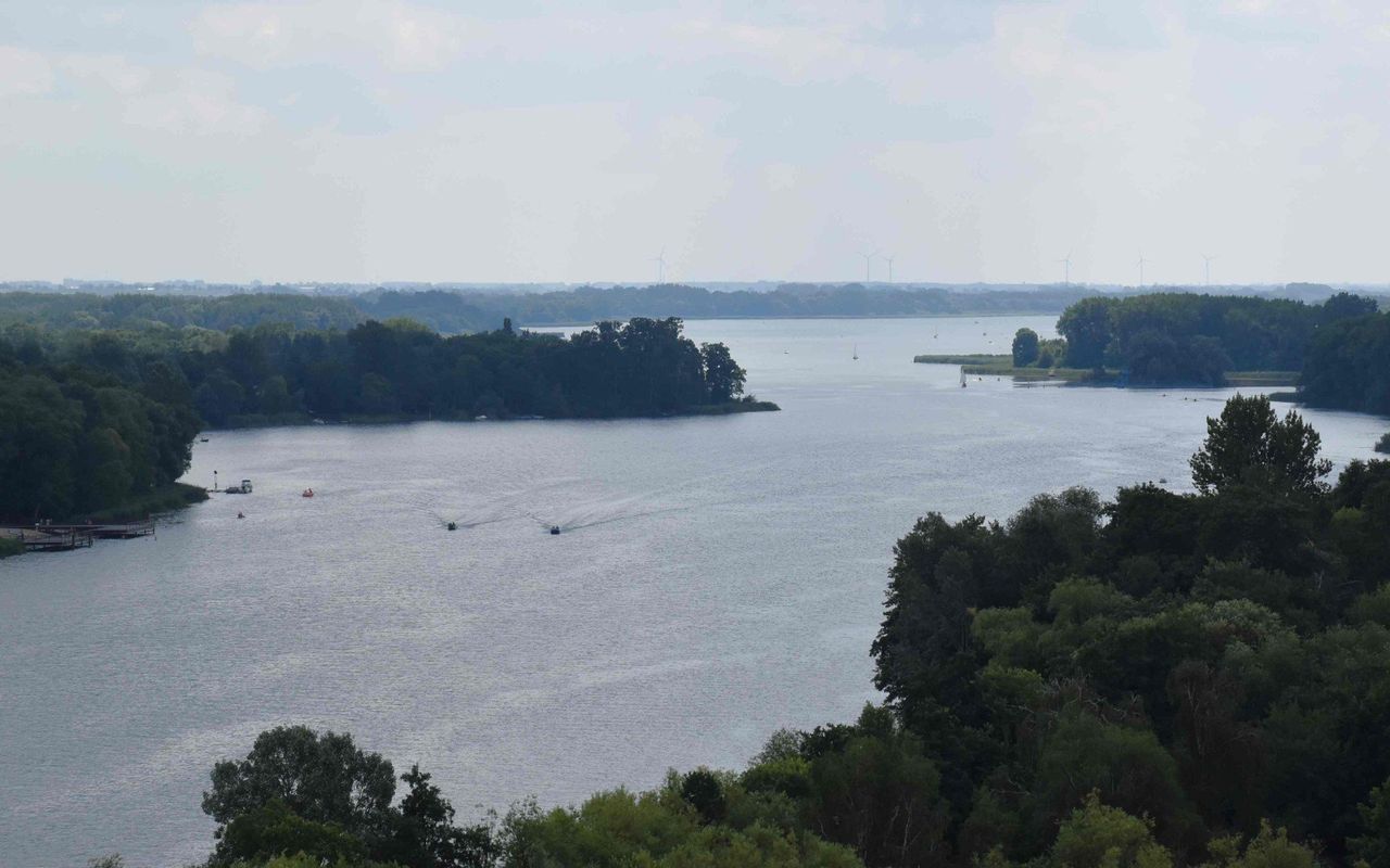 Królestwo ptaków i nie tylko. Ten park krajobrazowy naprawdę zachwyca
