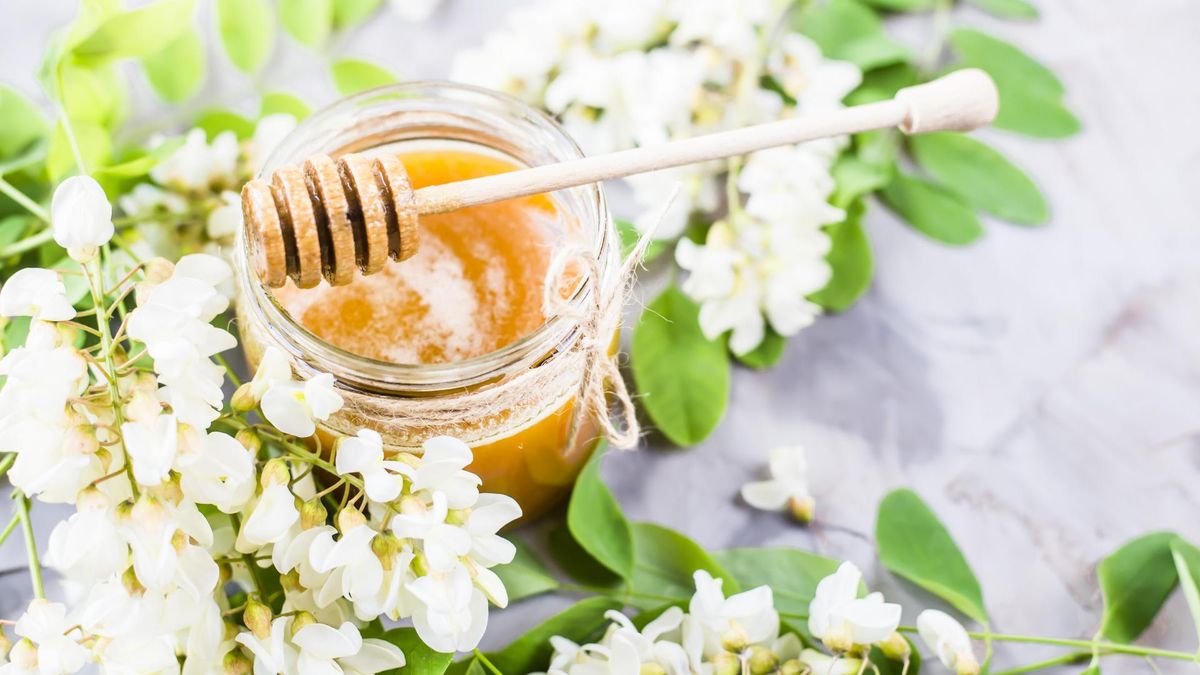 Akacja służy naszemu zdrowiu i urodzie