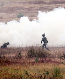 Polska wycofa się z konwencji ottawskiej. Szef MON o szczegółach