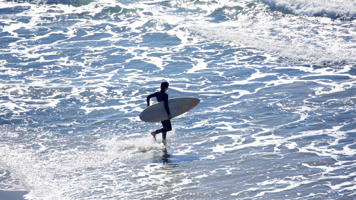 Surferowi udało się wyswobodzić 