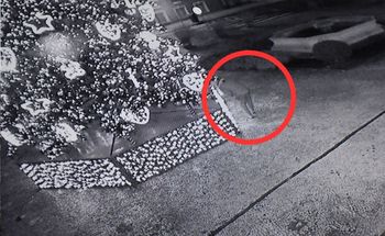 Połaszczył się na ozdoby z choinki. Wpadł, gdy wrócił po więcej