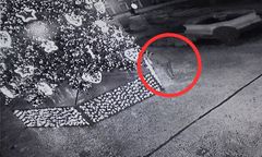 Połaszczył się na ozdoby z choinki. Wpadł, gdy wrócił po więcej