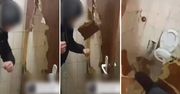 Nastolatkowie zdewastowali toaletę. Filmikiem pochwalili się w sieci WIDEO