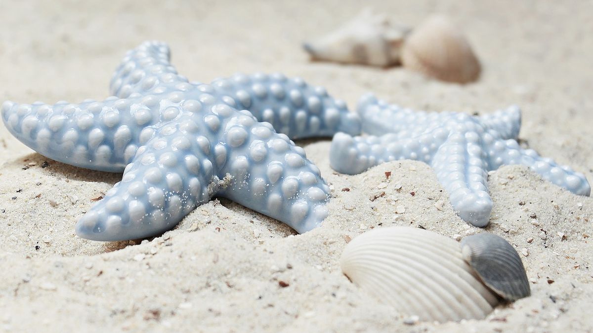 Naukowcy wykryli koronawirusa w... małżach