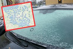 "Pierwsza taka zimna noc". Oto co pokazały termometry w Białowieży