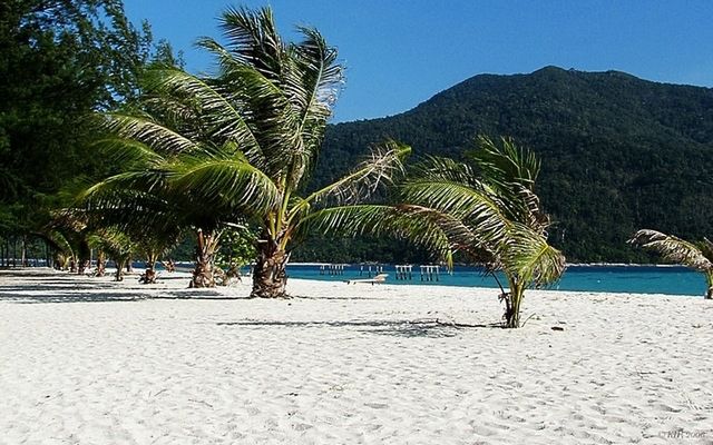 Zbiór tapet "plażowych" na lepsze samopoczucie 2
