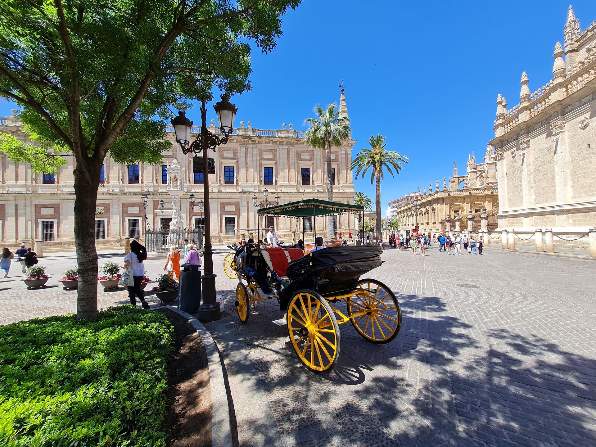 Plac przy Alkazarze, wieży Giralda i katedrze sewilskiej