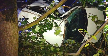 Jechał pijany i bez uprawnień. Samochód owinął się wokół drzewa