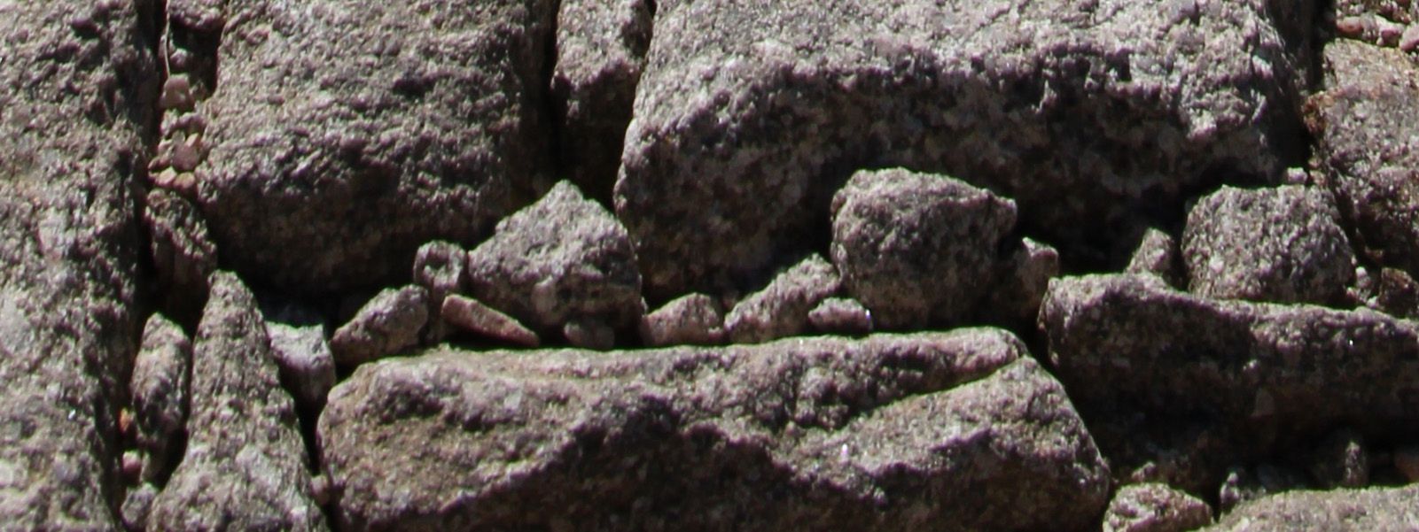 Tamron 16-300 mm f/3.5-6.3 Di II VC PZD Macro, czyli superzoom nie do pobicia [test] 27