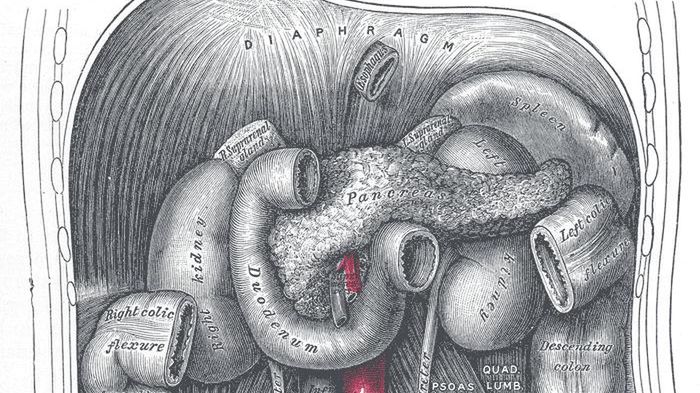 Sztuczna trzustka odmieni życie diabetyków 1