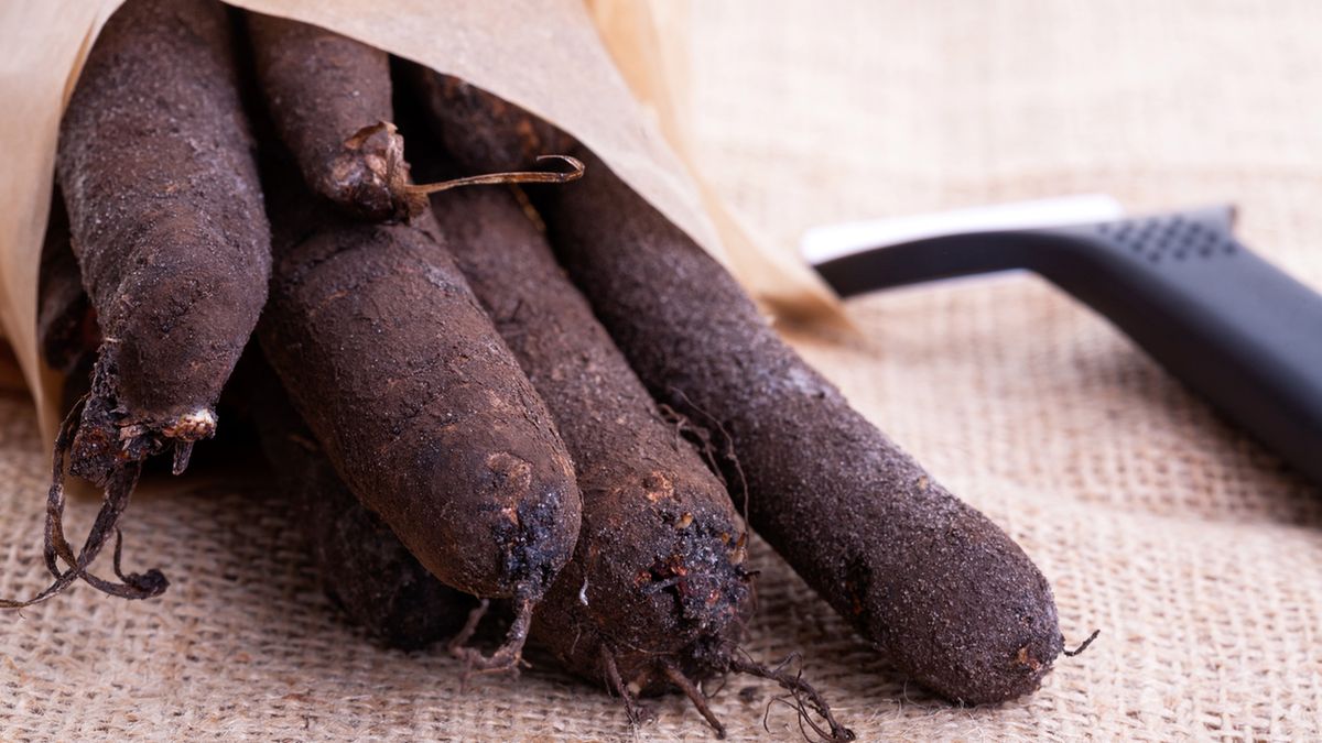 Czarny korzeń to bogactwo wapnia