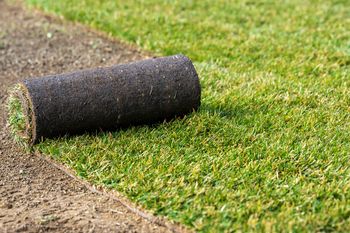 Jak ułożyć trawę z rolki krok po kroku — efekt w 1 dzień