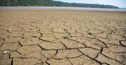 Susza coraz większym problemem dla Polski. "Woda nam ucieka"