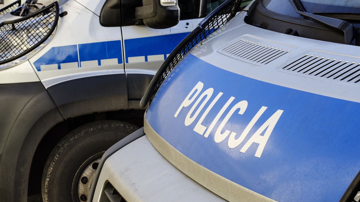 Policja - zdjęcie poglądowe