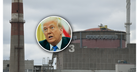 Donald Trump chce "perły ukraińskiego przemysłu". Zełenski odpowiada