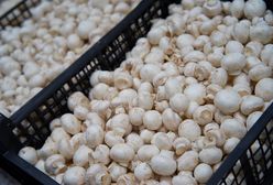 "To nie upadłość". Pieczarkowy gigant ma plan na przetrwanie