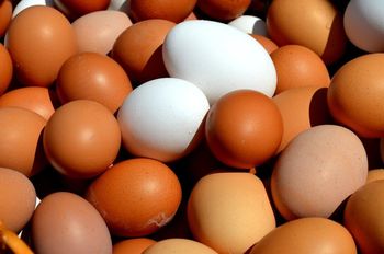Polska jajeczną potęgą. Co szóste jajo na świecie pochodzi z polskiego kurnika