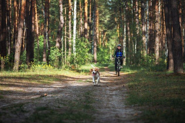 Research shows that nature promotes creativity by up to 50%