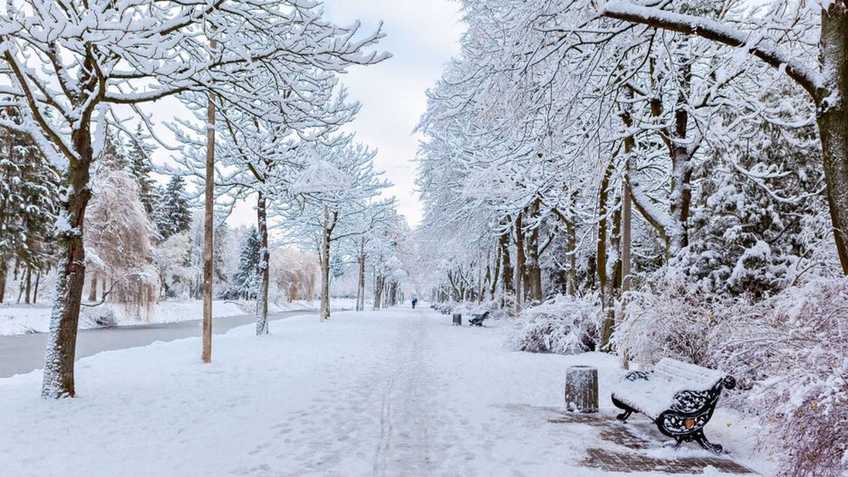 Zdjęcie ilustracyjne. Canva