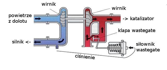 Zdjęcie ilustracyjne do artykułu