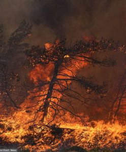 Australię czeka koszmarne lato. Wysokie temperatury i pożary