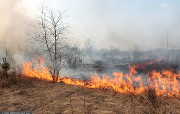 Surowsze kary za wypalanie traw. Rolnicy ryzykują nie tylko mandat