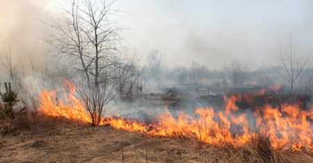 Surowsze kary za wypalanie traw. Rolnicy ryzykują nie tylko mandat