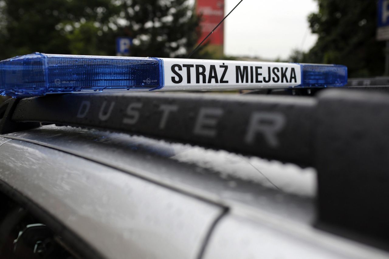 Kraków: Amstaff pogryzł kobietę. Właściciel psa próbował uciec