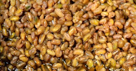 Zaparzam i piję ją rano i wieczorem. Czuję się lekko, a kilogramy lecą w dół