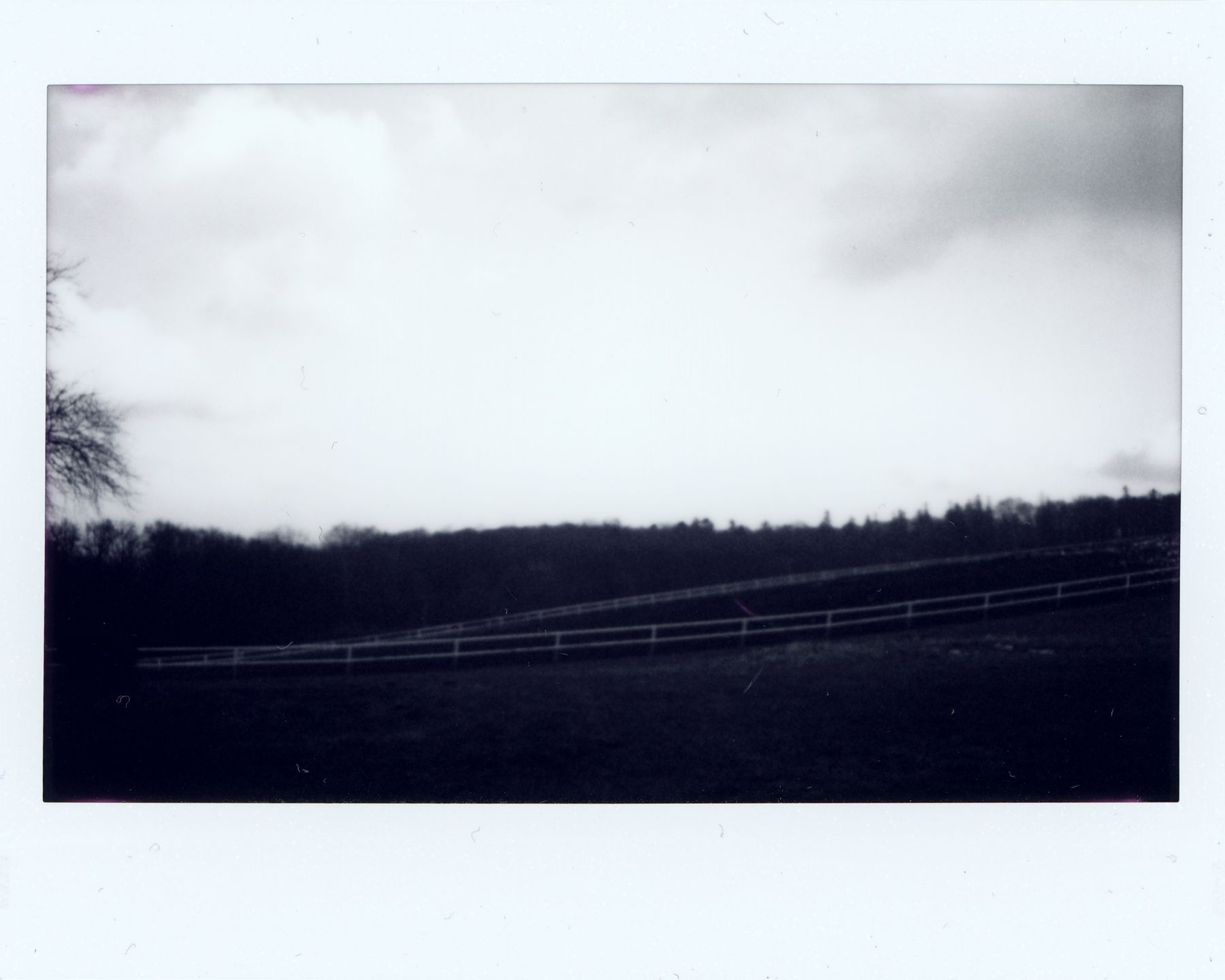 Fujifilm instax wide Monochrome – natychmiastowa czarnobiel w większym formacie 7