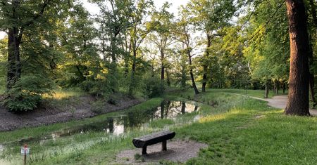 Wrocław. Pogoda. 19 lipca - upalnie, ale możliwe burze. Deszczowy poniedziałek