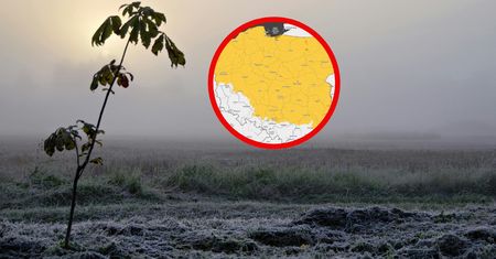 Nocne przymrozki. Ostrzeżenia dla większości województw