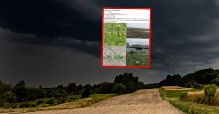 "Co za straszny widok". Rolnicy załamani. To były minuty