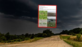 "Co za straszny widok". Rolnicy załamani. To były minuty