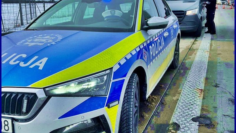 Punkty karne szczególnie dawały się we znaki tym, którzy dużo jeżdżą - kierowcom zawodowym