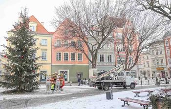 Zielona Góra: Przy Ratuszu stanie choinka. Będą też iluminacje