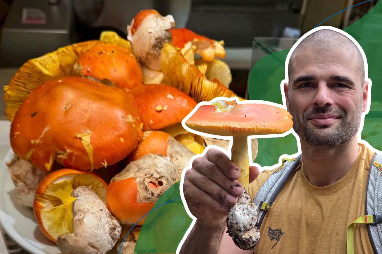 Kosztuje nawet 600 zł za kilogram. Polakowi udało się go znaleźć