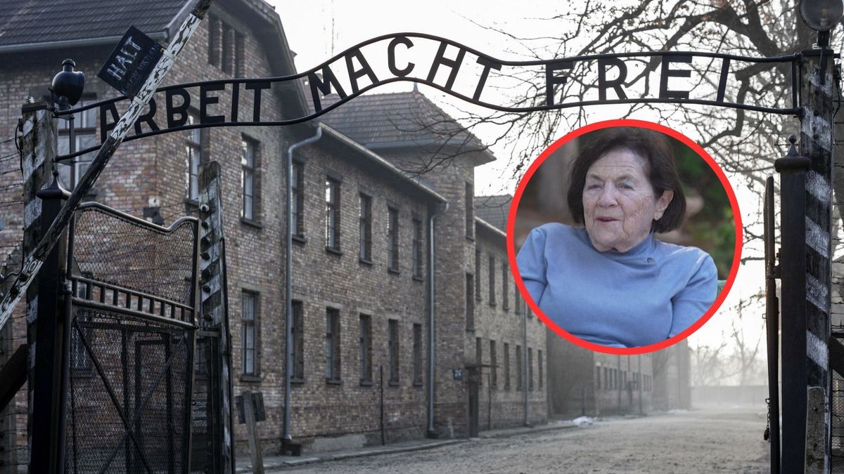 80. rocznica wyzwolenia Auschwitz. "Żyliśmy w nadziei, że musimy to przetrwać"