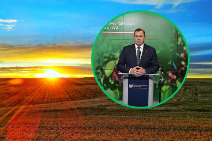 Przetargi na ziemię zawieszone. Rolnicy zyskają szansę?