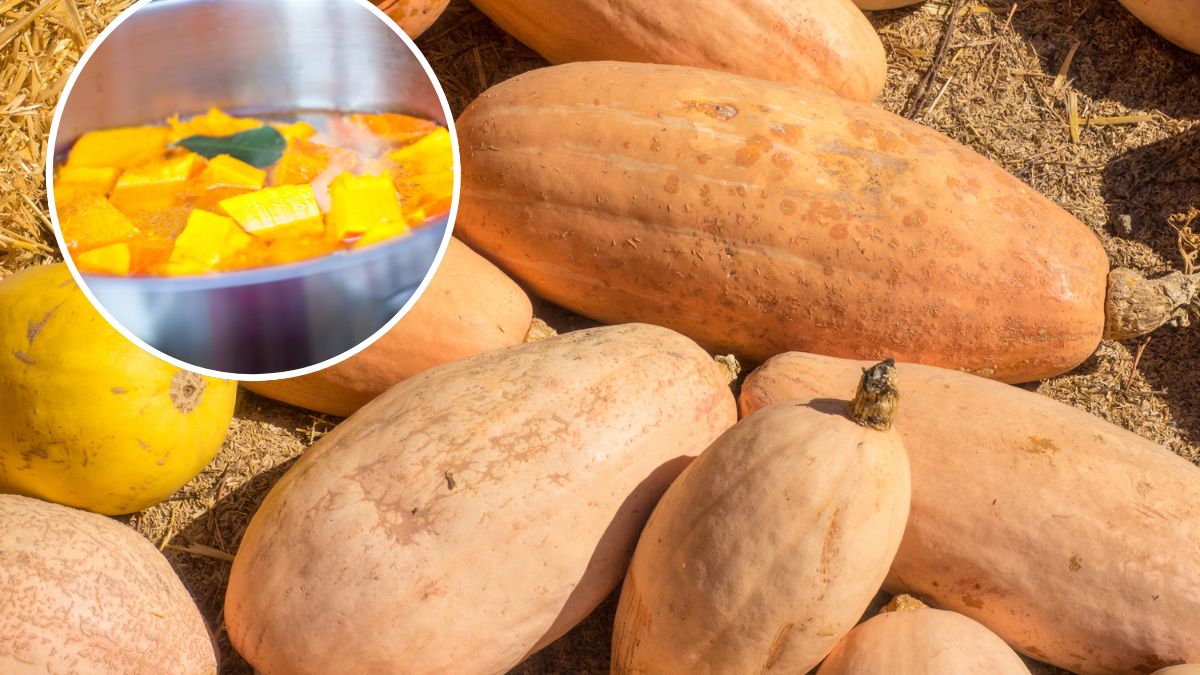 Pink Banana Jumbo to dynia dobra na zupę-krem i deser