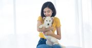 Hokkaido Inu – odważny pies z północy Japonii