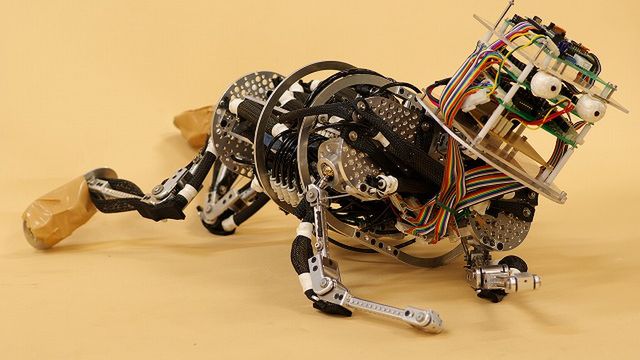 Trochę straszne, trochę niesamowite - tak wyglądają dzieci-roboty 1