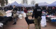 Skontrolowali handlarzy na targowisku. Posypały się mandaty dla Bułgarów