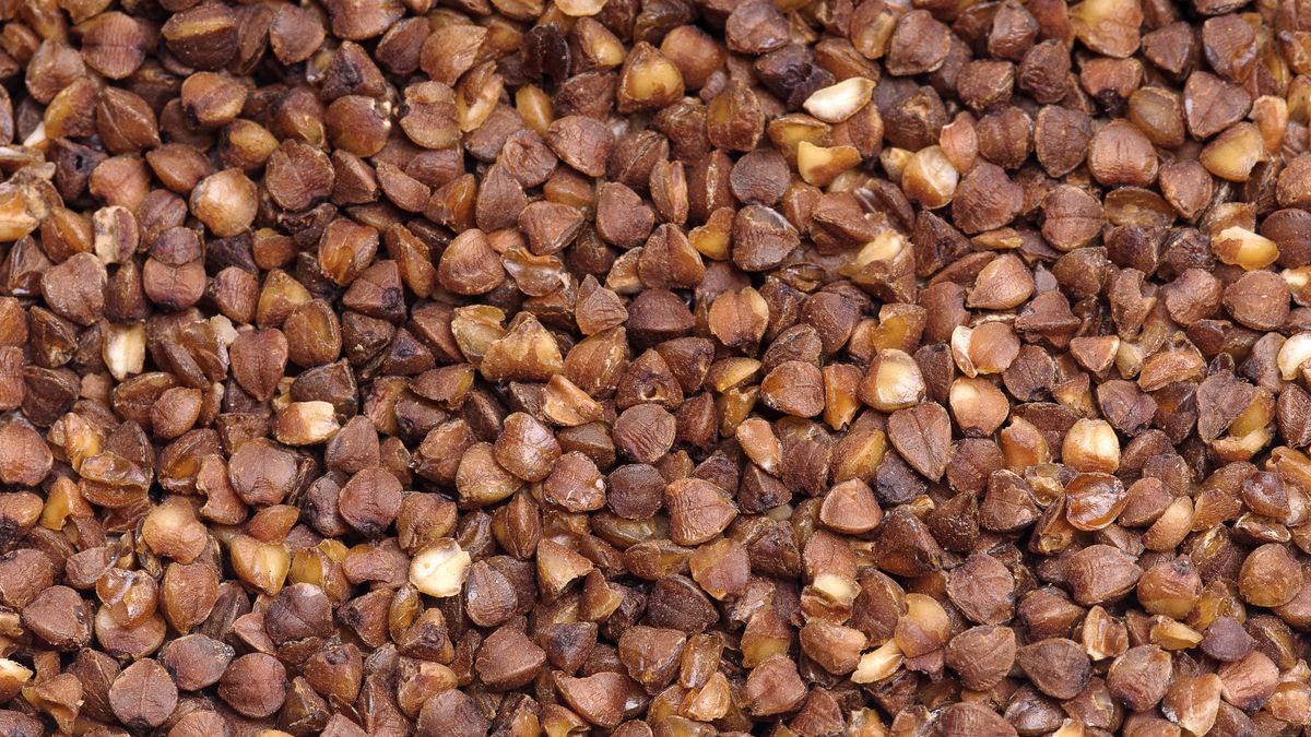 kasza, gryczana, jedzenie, pokarm, zdrowy, naturalny, ziarno, ziarna, nasiona, kuchnia, obiad, suchy, drobny, pożywienie, pożywny, odżywczy, skrobia, gryka