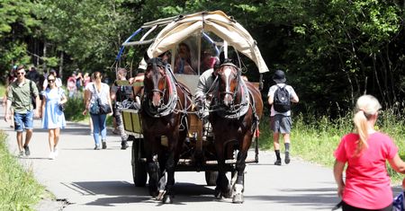 Drożyzna hula w Tatrach. Tyle kosztuje kurs w stronę Morskiego Oka