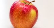Co daje codzienne jedzenie jabłek? Efektów jest więcej niż się wszystkim wydaje
