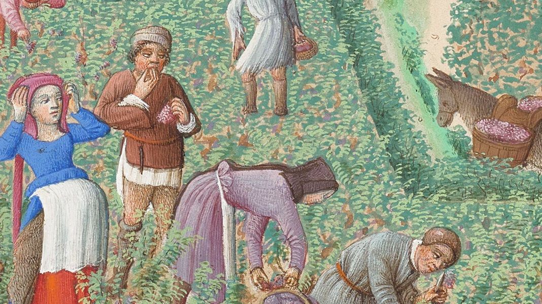 Miesiąc wrzesień na karcie kalendarzowej z XIV-wiecznego kodeksu