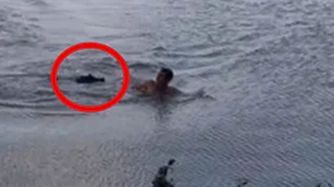 Mężczyzna cudem uciekł aligatorowi